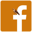 Freedomis for the Birds on Facebook